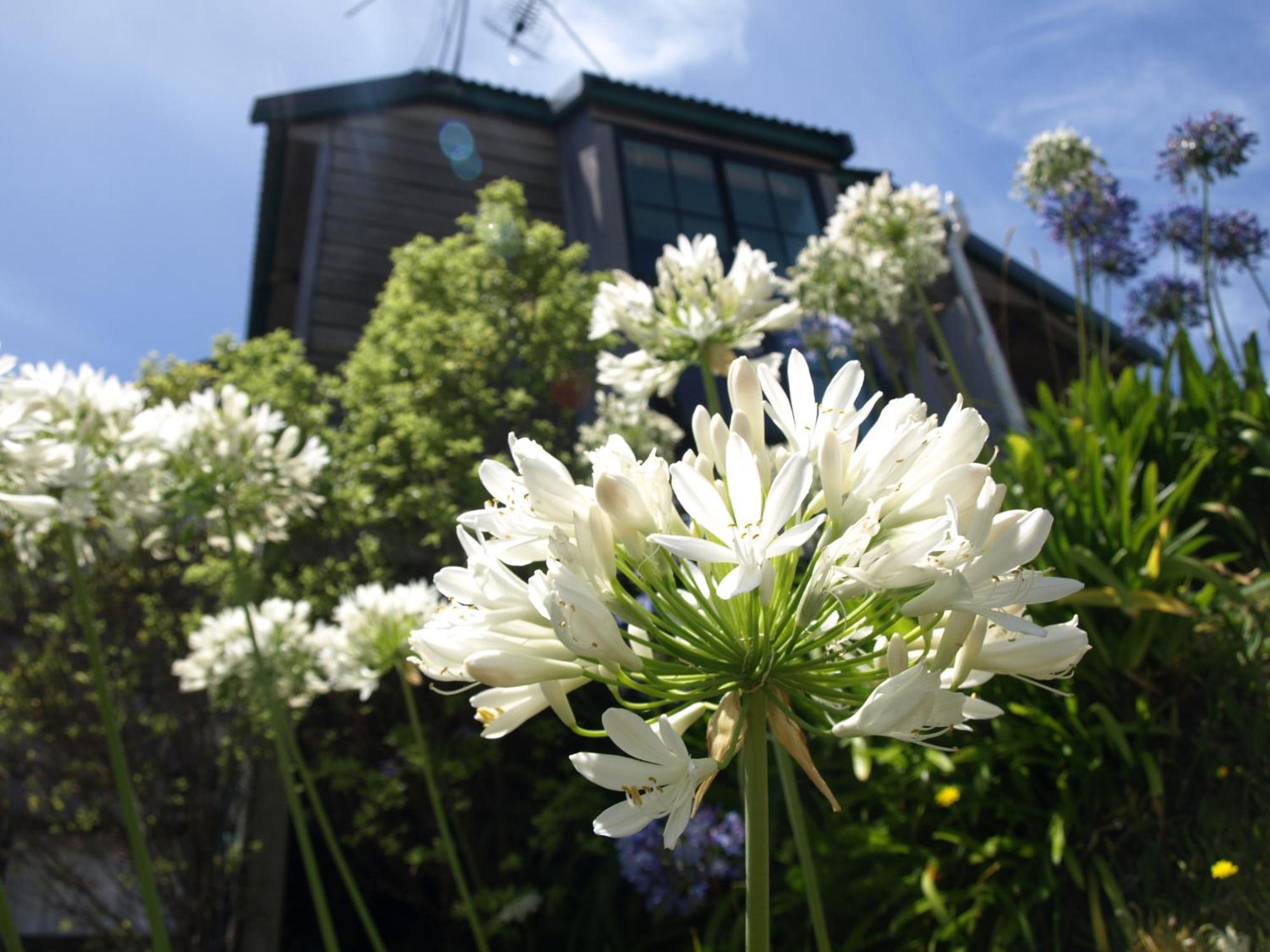 Grafton Cottage & Chalets เทมส์ ภายนอก รูปภาพ